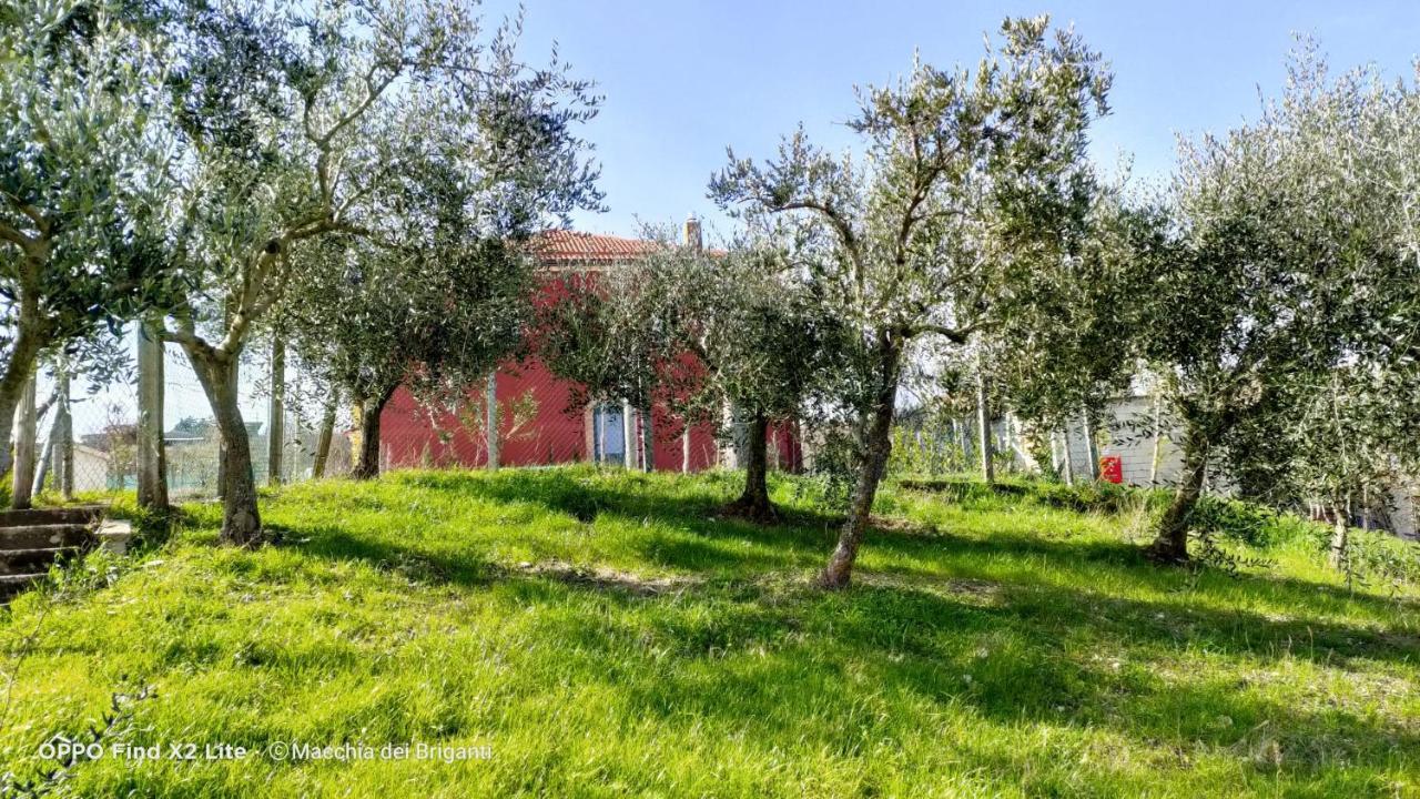 Agriturismo Macchia Dei Briganti - B&B Montefalcione Dış mekan fotoğraf