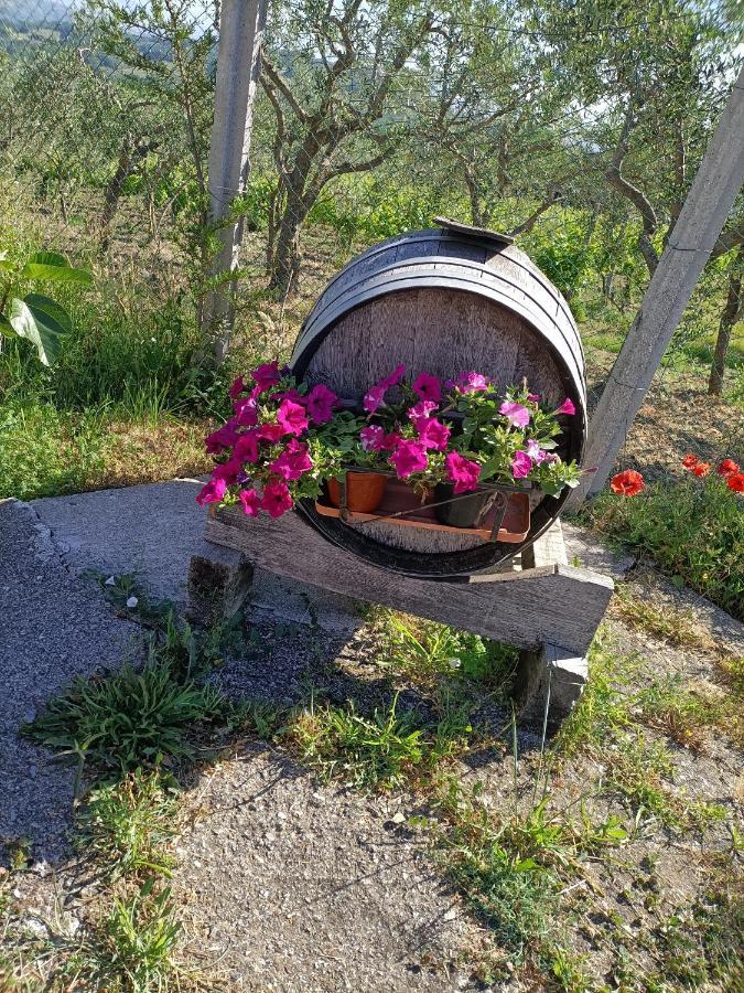 Agriturismo Macchia Dei Briganti - B&B Montefalcione Dış mekan fotoğraf