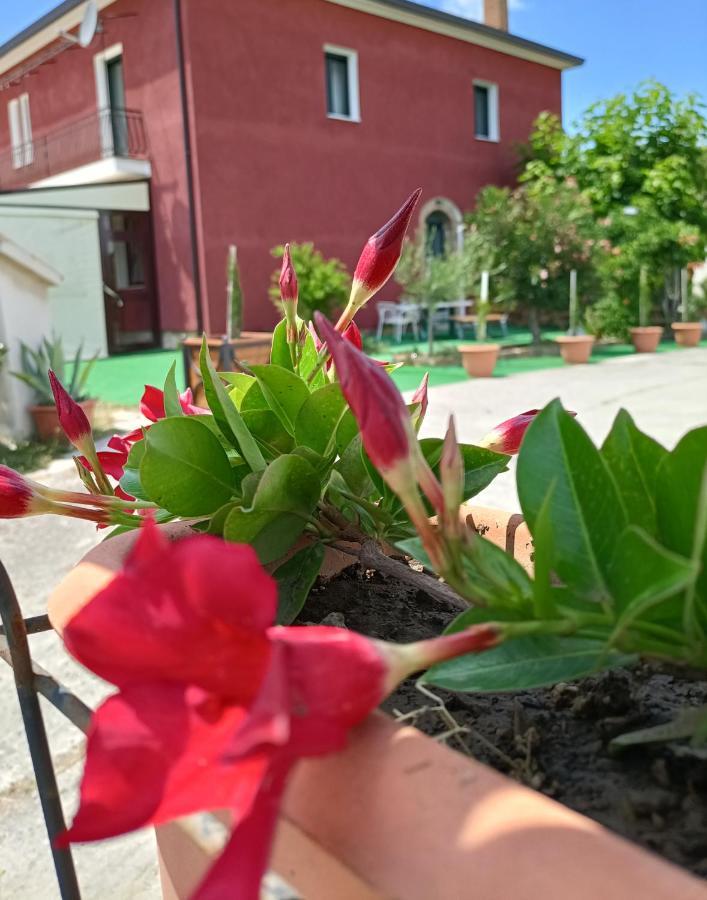 Agriturismo Macchia Dei Briganti - B&B Montefalcione Dış mekan fotoğraf